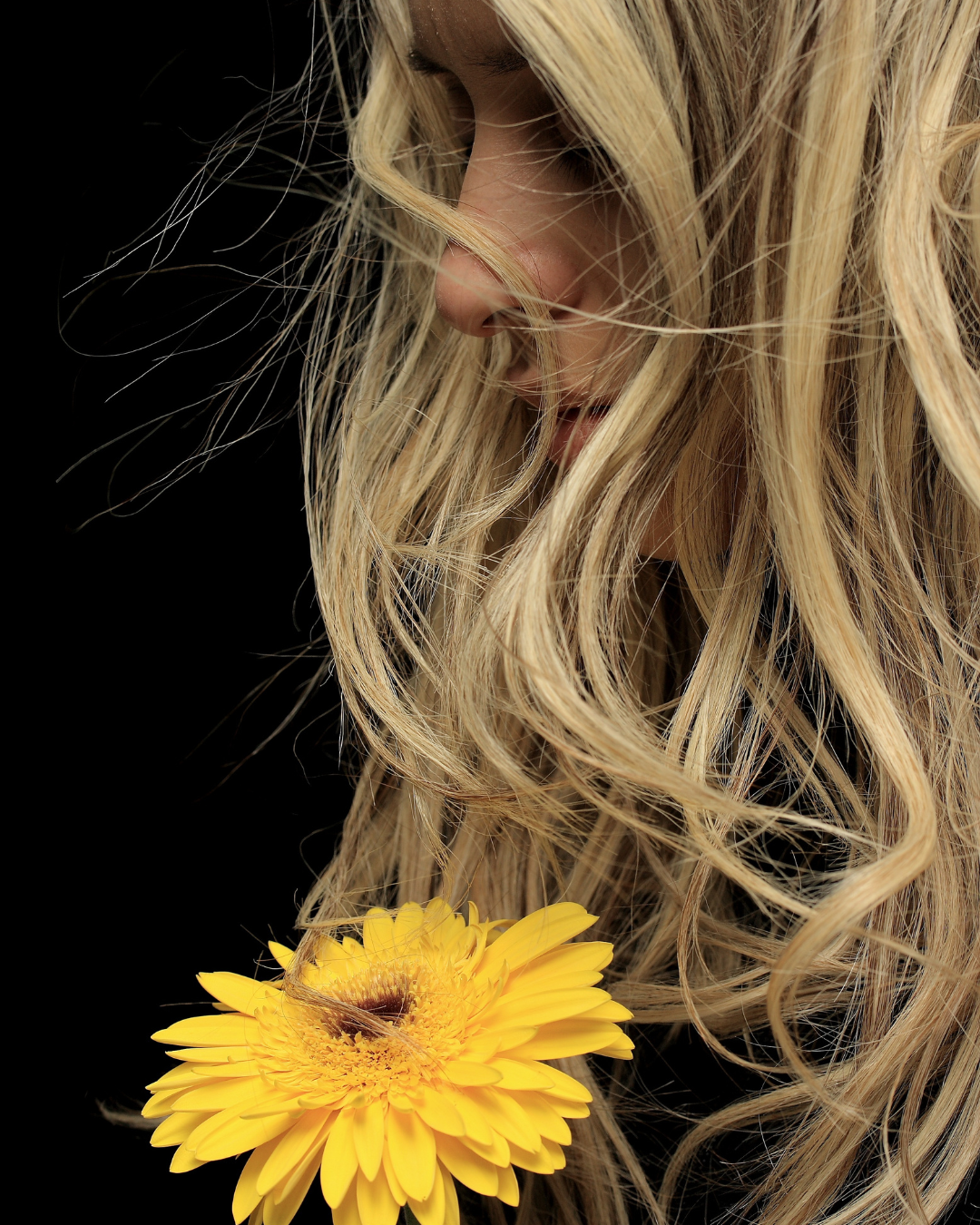 Anne Heche Died in 2022. Her Family Is Still Paying for It